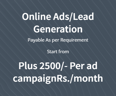 Online Ads/Lead Generation